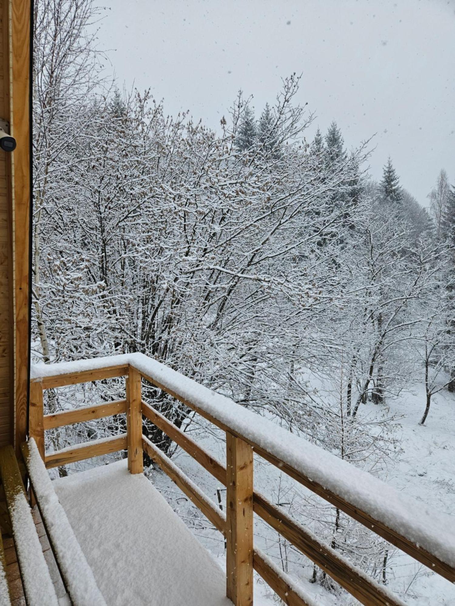 Altundeva La Munte Chalet Podu Dimbovitei