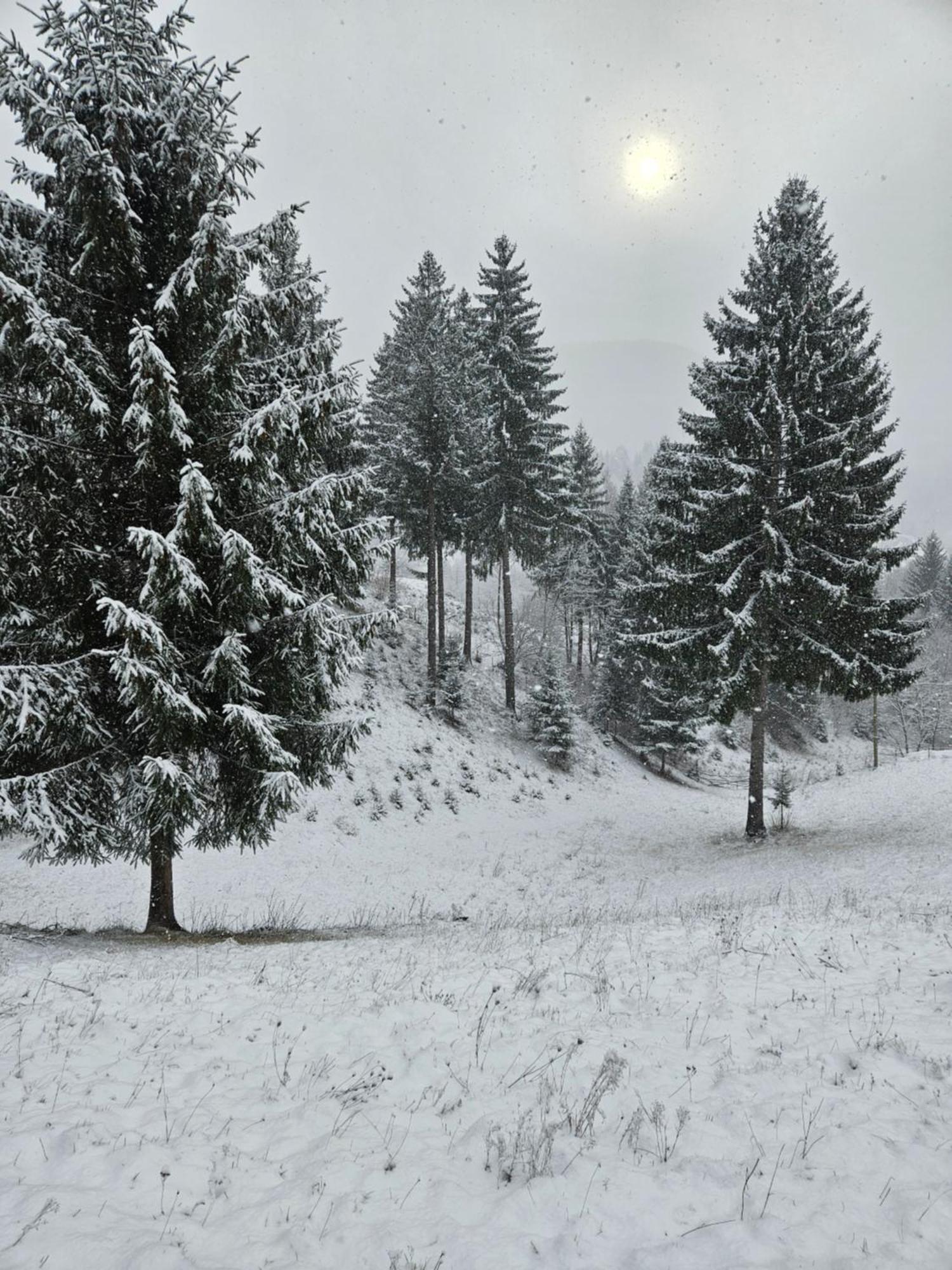 Altundeva La Munte Podu Dimbovitei